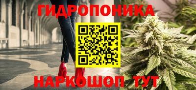 MDMA Камышлов
