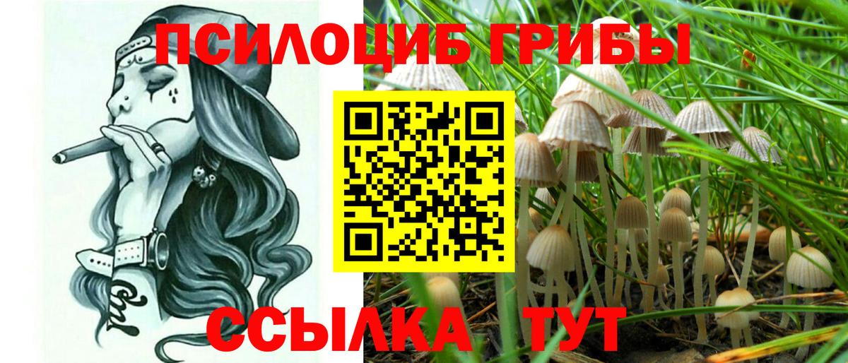 Ленинск-Кузнецкий  Галлюциногенные грибы Cubensis  Псилоцибиновые грибы прущие грибы  Вход с VPN 